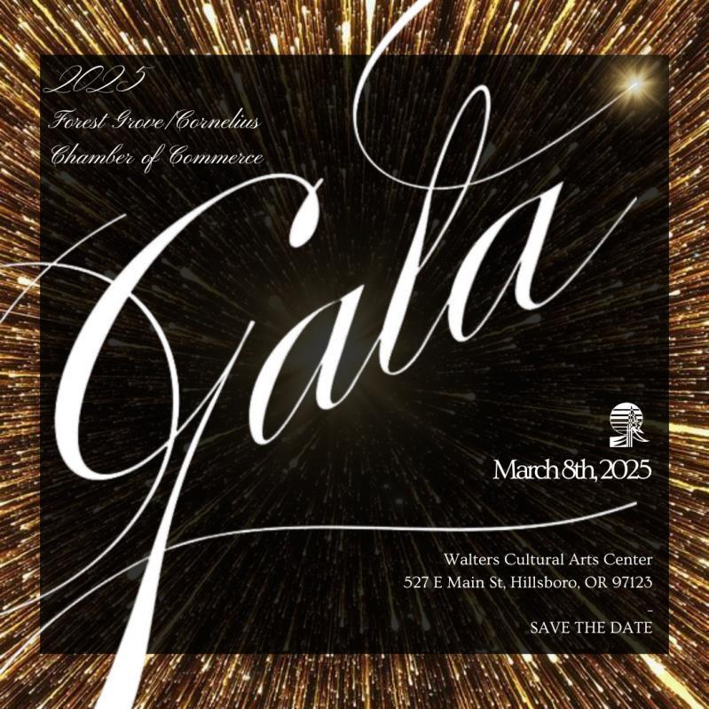 2025 Chamber Stars Gala header image