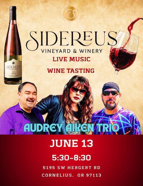 Live Music with the Audrey Aikin Trio header image