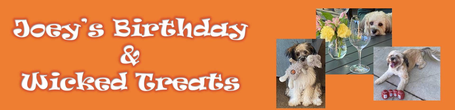 Joey’s Birthday, Wicked Treats & Bonus for Costumes! header image