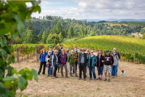 Vineyard Hike II header image