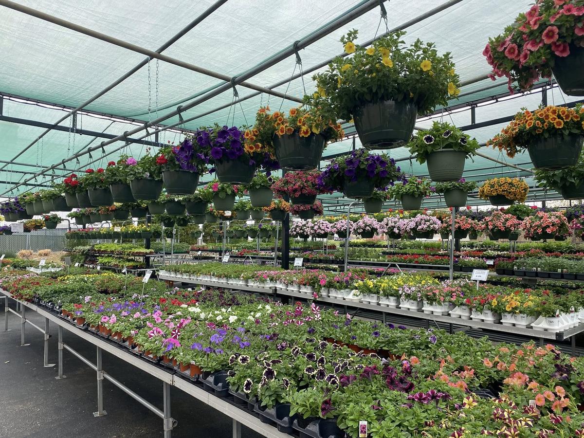 Heights Flowers gallery image 3