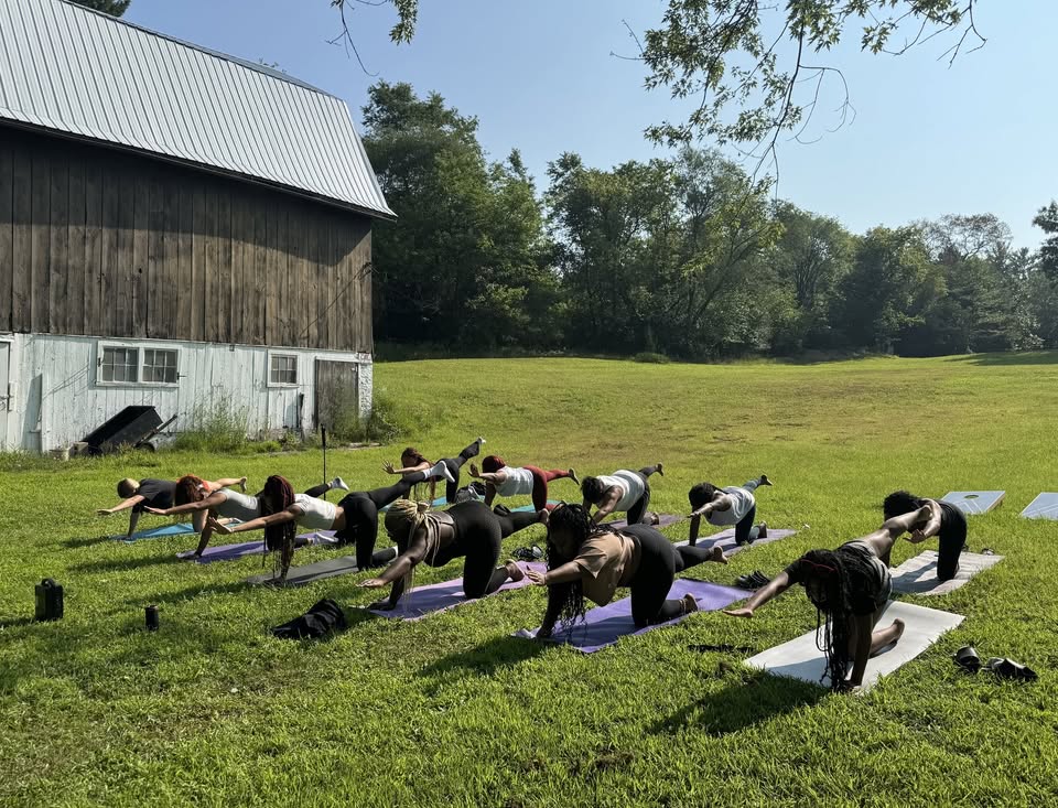 Morning Movement at Casacampo header image