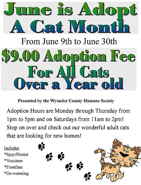 Wyandot County Humane Society gallery image 1