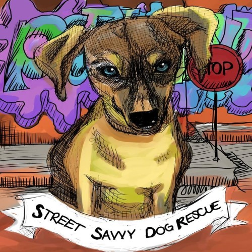 Street Savvy Dog Rescue Adoptions! header image