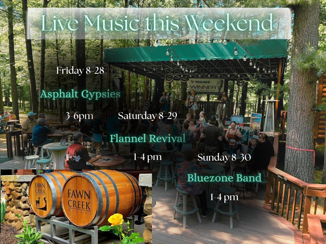 Live Music: Bluezone Band header image