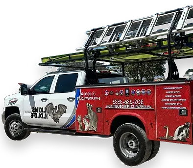 Wilkins Wildlife & Pest Solutions Inc gallery image 4