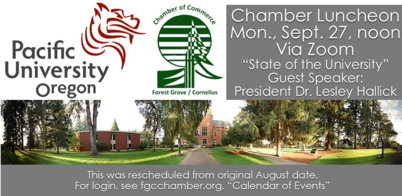 Chamber Virtual Luncheon header image