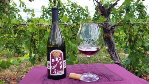 Axe & Rose Pinot Noir Release & Portland Timbers Watch Party header image