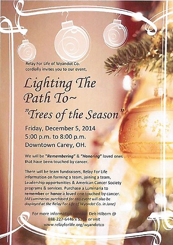 Lighting The Path To - "Trees of the Season" header image