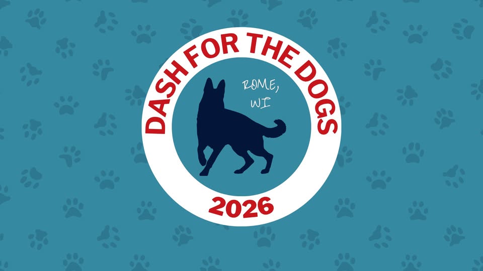 3rd Annual Dash for the Dogs  header image
