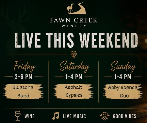 Live Music: Asphalt Gypsies  header image