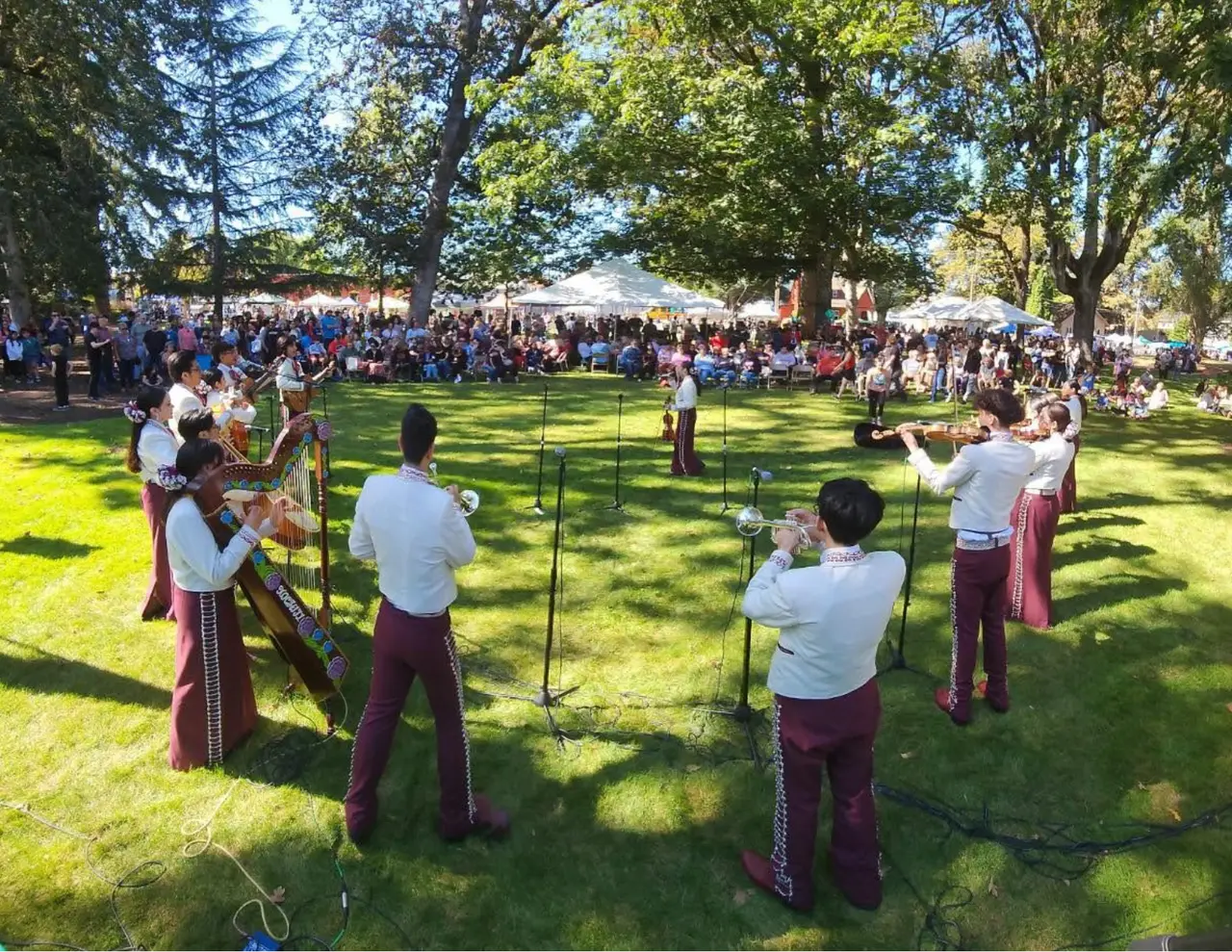 A band of about six musicians in matching maroon and cream outfits performing on a park lawn with a large seated crowd behind them.