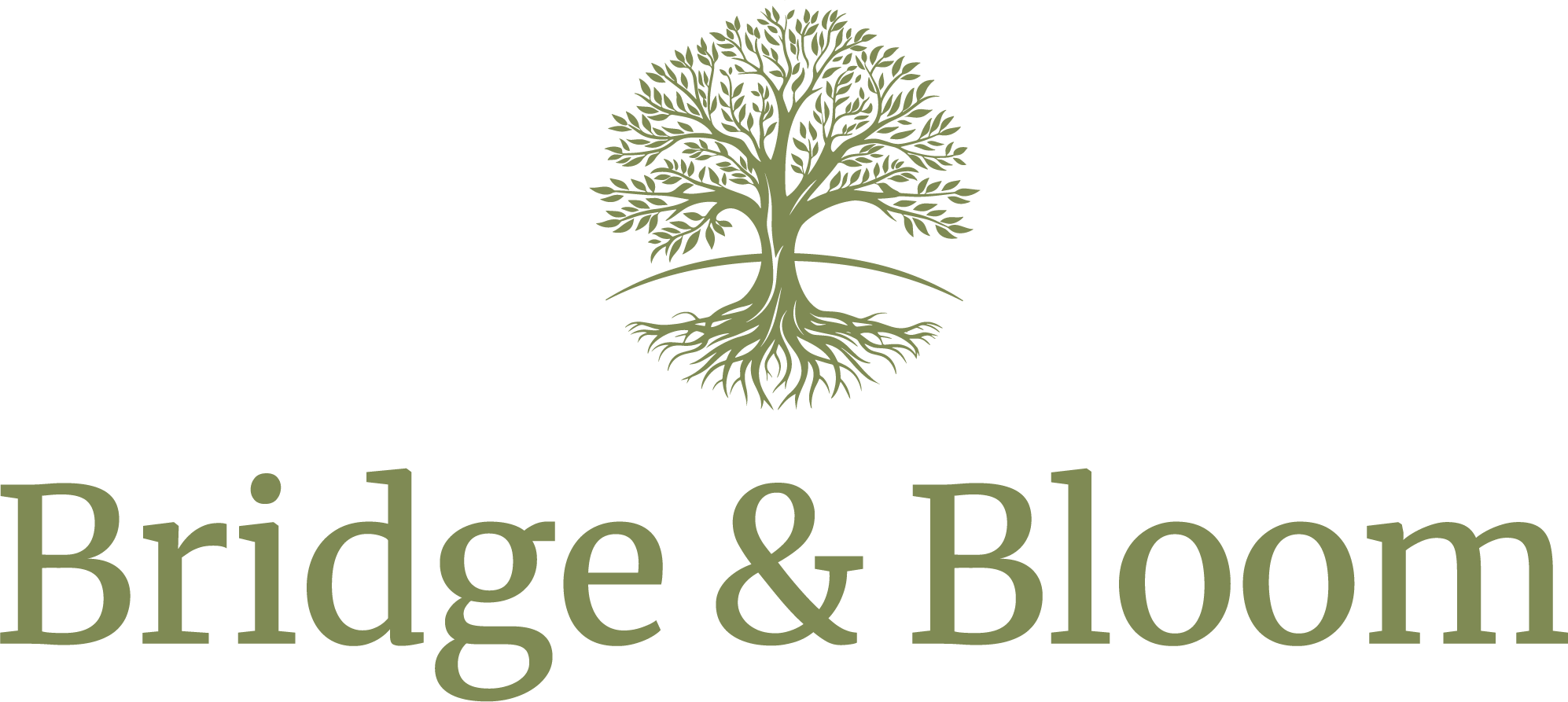 Bridge & Bloom gallery image 1