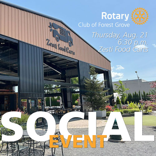 Social/Satellite Club Meeting & District Governor Visit header image