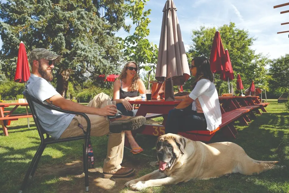Three people talking around a red picnic table in a sunny outdoor garden, with a large pale dog lying on the grass in front of them and folded patio umbrellas and mature trees behind.
