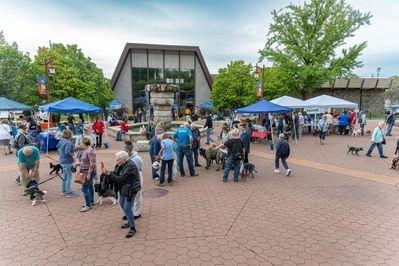 Peoria Humane Society gallery image 1