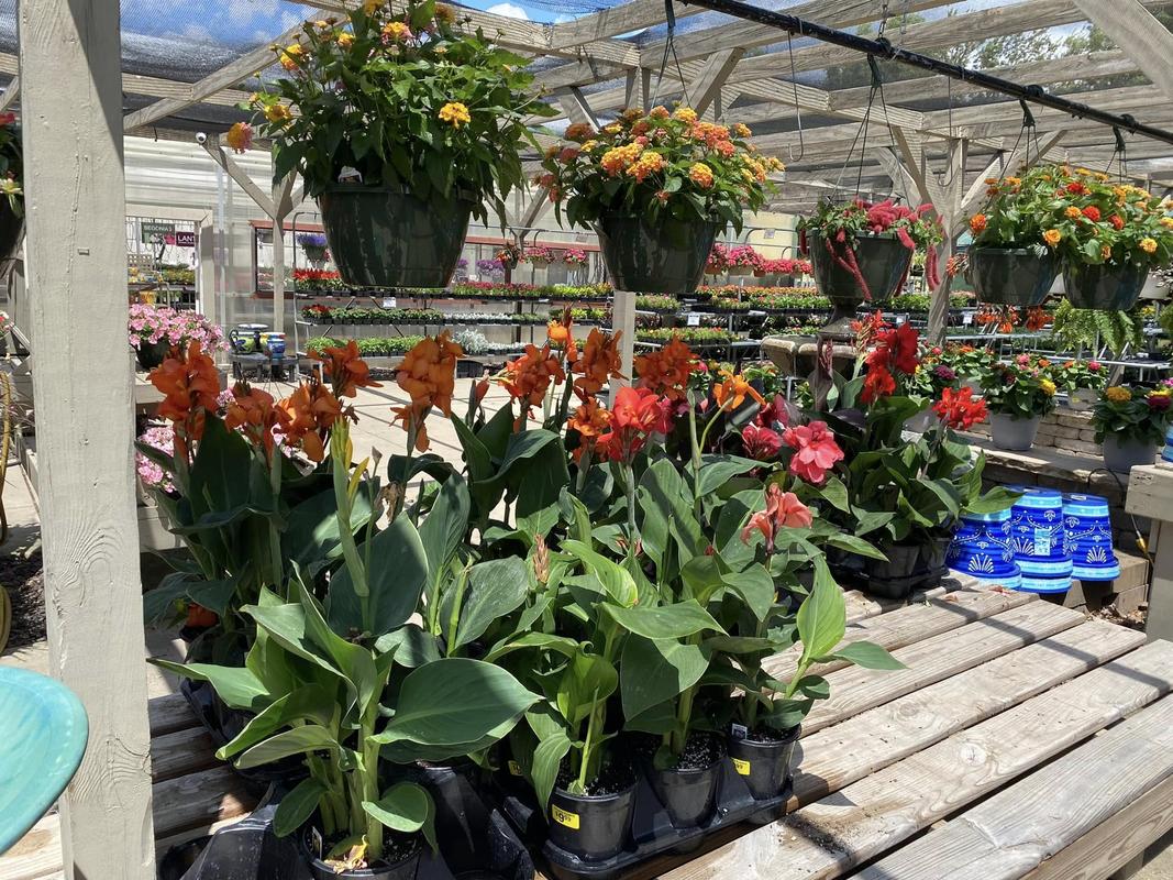 Heights Flowers header image
