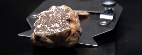 Gala Truffle Dinner with Oregon Truffle Festival header image