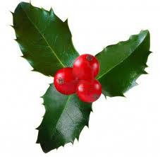 Holiday Open House at Shamrock Garden Florist header image