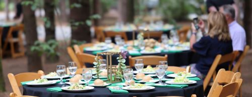 Into the Woods Wine Pairings Dinner header image