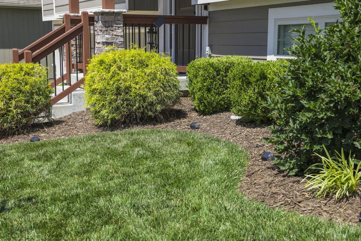 Green Seasons Lawn & Tree Service gallery image 8