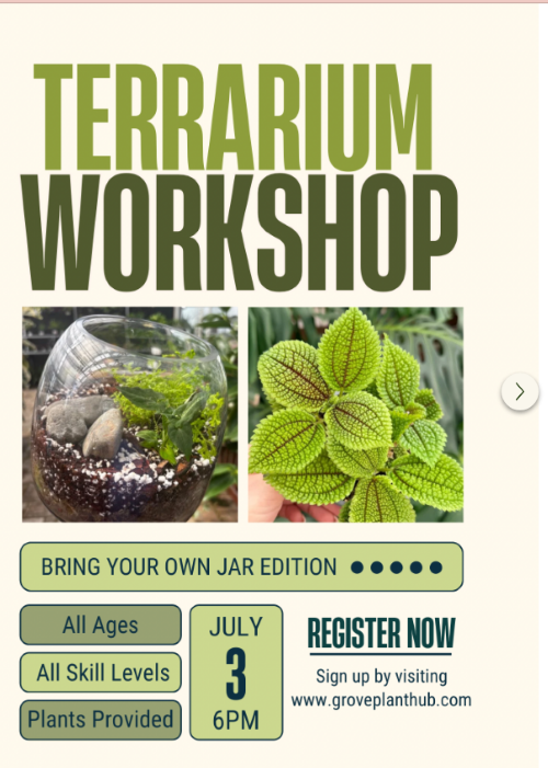 Terrarium Workshop - Bring Your Own Jar! header image