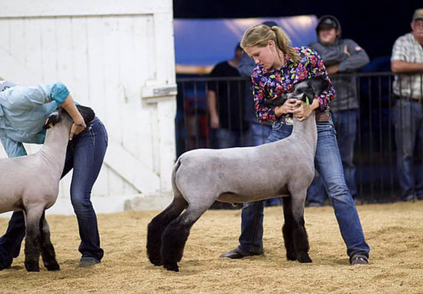 Wyandot County Fairgrounds-Wyandot County Agricultural Society gallery image 6