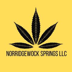 Norridgewock Springs logo
