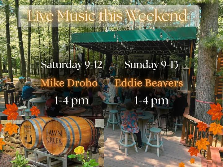 Live Music: Eddie Beavers  header image