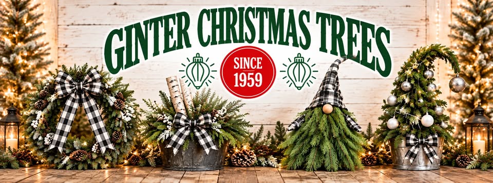 Winter Workshop header image