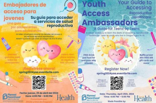 Youth Access Ambassadors| Embajadores de acceso para jovenes header image