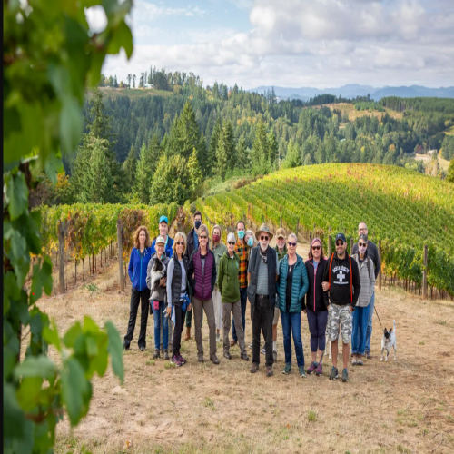 Vineyard Hike IV header image