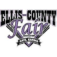 Chamber Chat - Ellis County Fair gallery image 1