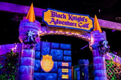 Summer UNLIMITED Attractions Wristband gallery image 6