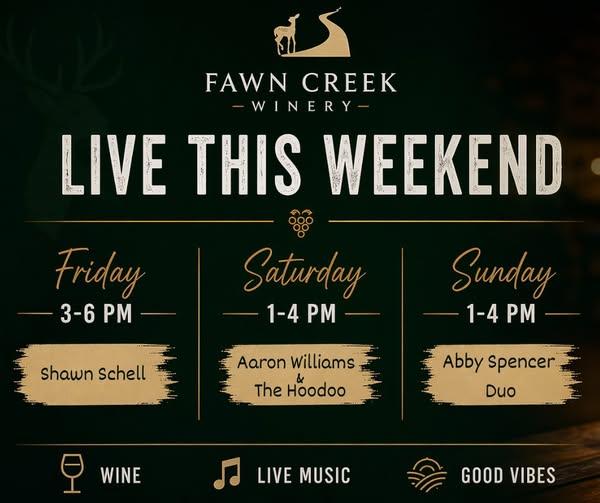Live Music: Abby Spencer Duo header image