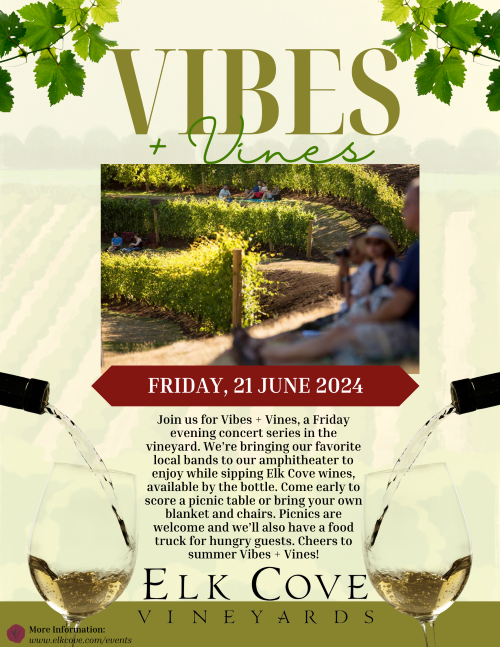Vibes + Vines header image