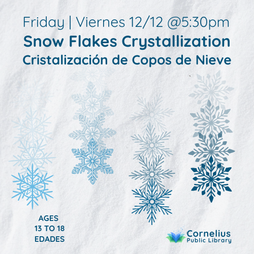 STEM: Snow Flakes Crystallization | Cristalización de Copos header image
