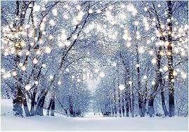A Winter Wonderland Ball Auction header image