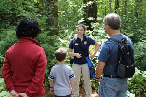 Trees of the Tillamook Walk header image