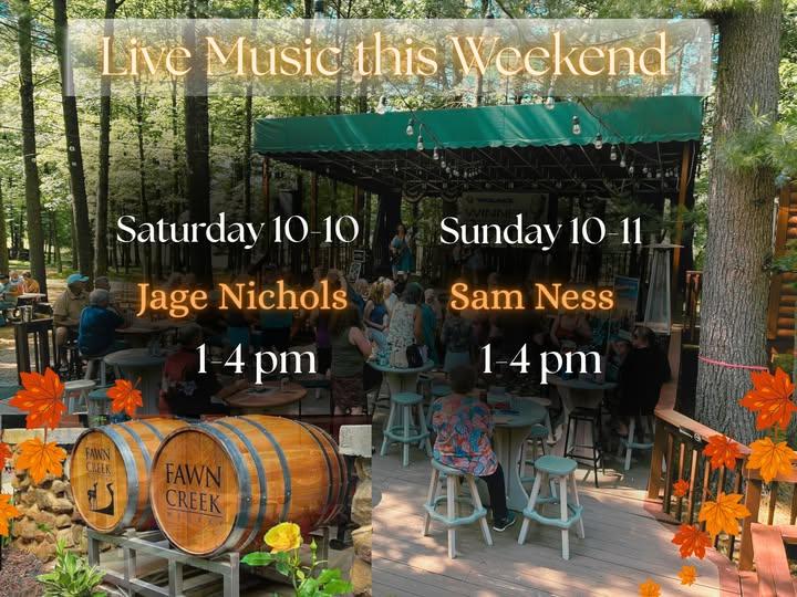 Live Music: Jage Nichols  header image