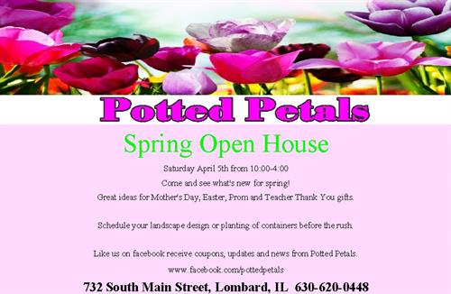 Spring Open House at Potted Petals header image