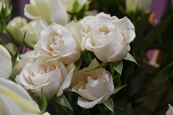 Richardson's Flowers- Gifts-Rentals gallery image 4