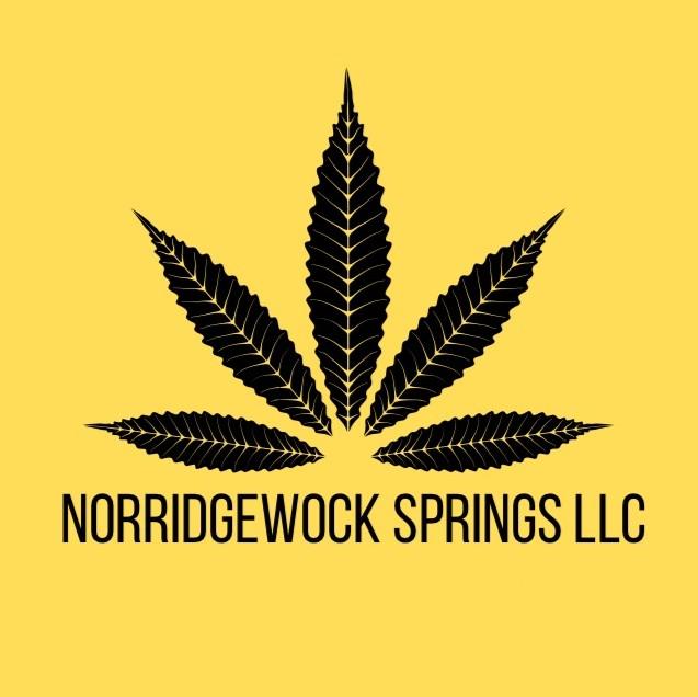 Norridgewock Springs logo