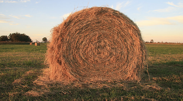 Farmers Mutual Insurance Agency gallery image 3