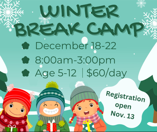 Winter Break Camp header image
