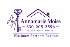 Annamarie Moise - Platinum Partners Realtors logo