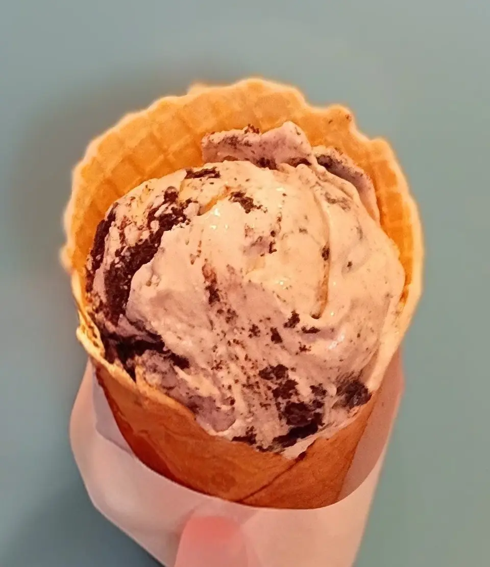 A single scoop of pale ice cream shot through with dark chocolate ribbons in a golden waffle cone, held up against a plain pale background.