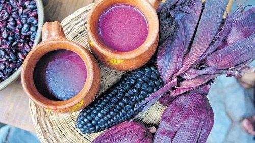 La Revolución del Maíz (The Corn Revolution) header image