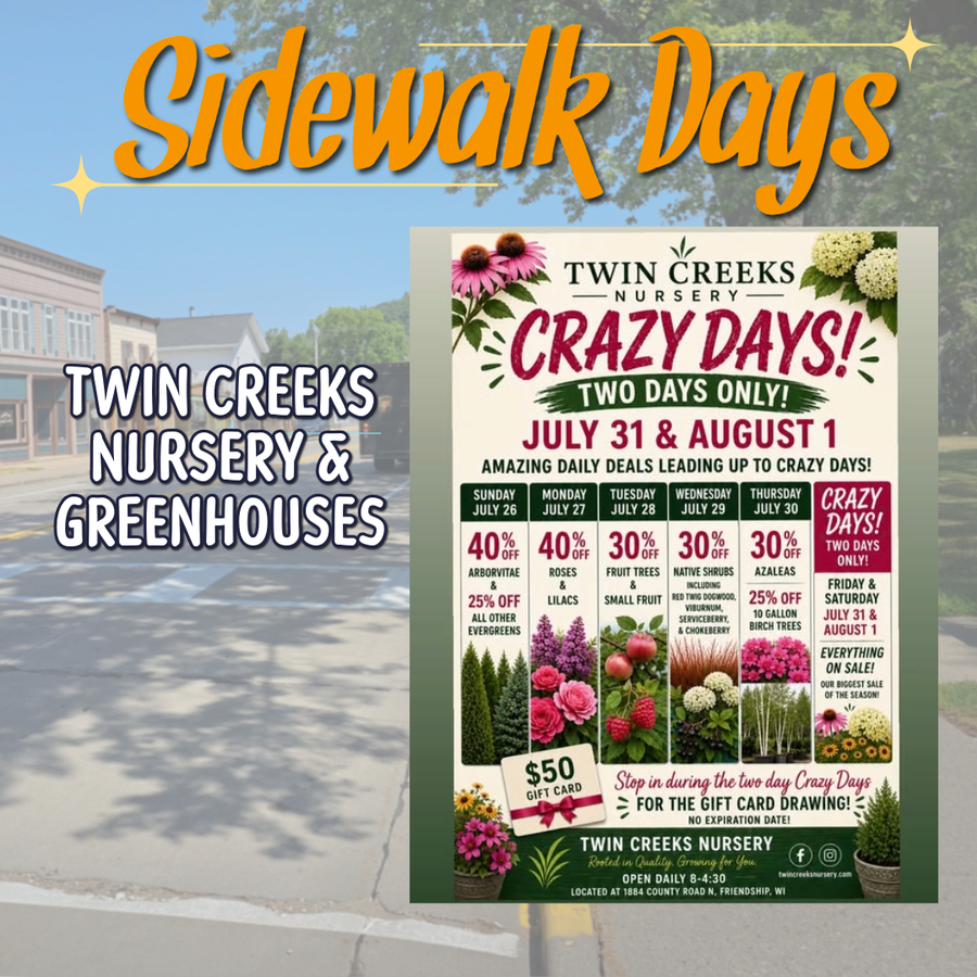 SideWalk Days! gallery image 6