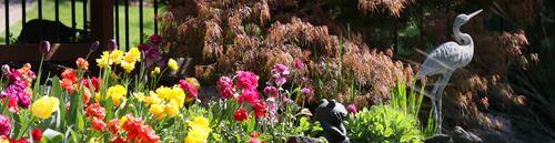 FHFG Garden Tours header image